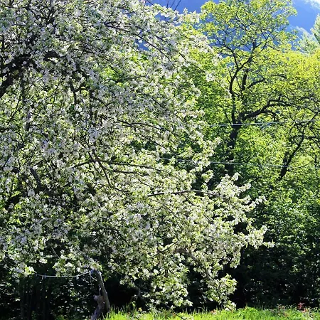 Apartman La Capanna In Tuscany